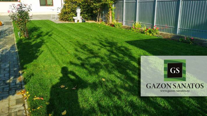 Montaj Rulou Gazon Arad